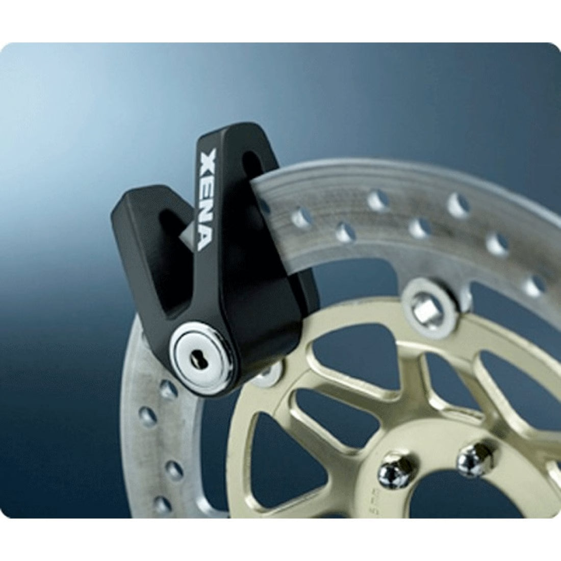 XENA X1 Disc Lock motorcycle scooter security Lebanon international shipping