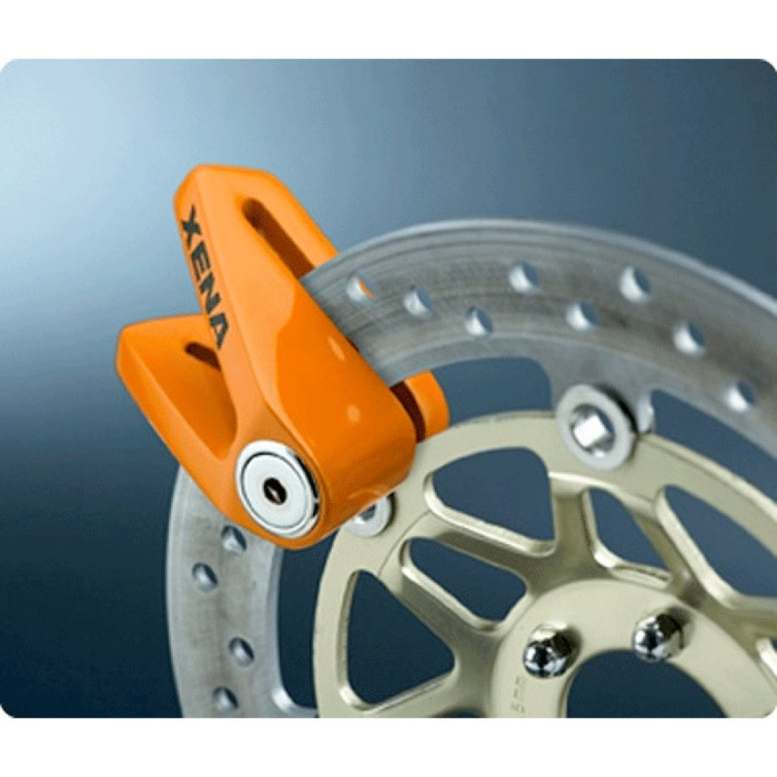 XENA X1 Disc Lock motorcycle scooter security Lebanon international shipping